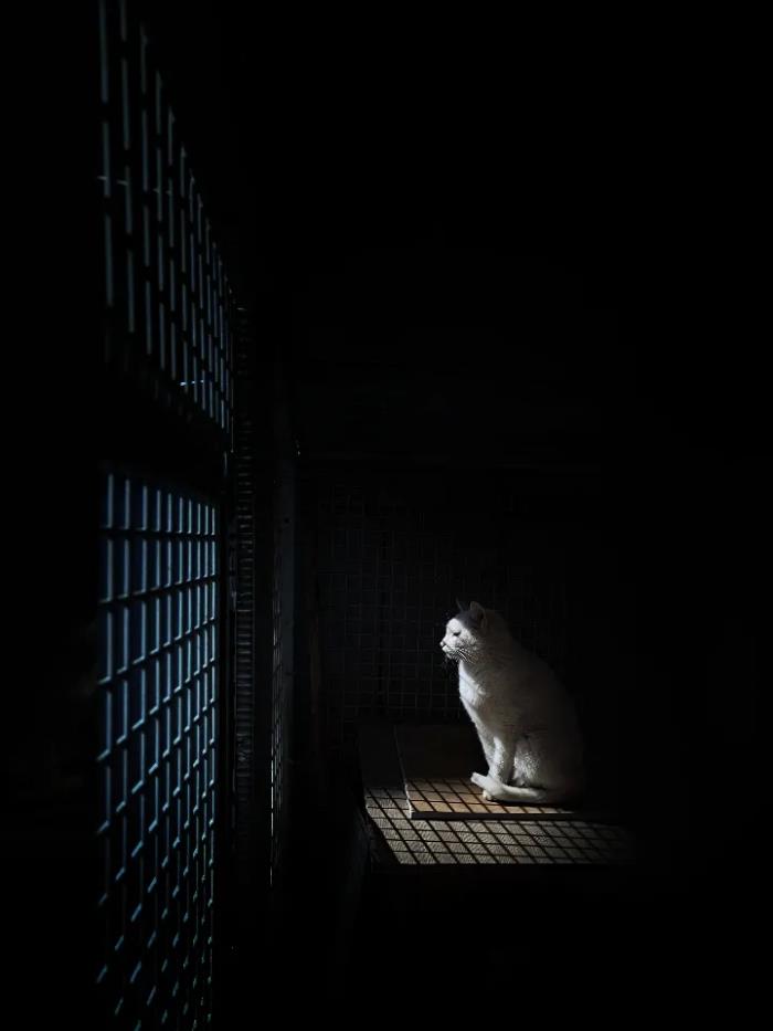 孤独照片(当代青年孤独时刻大赏) - 天华易学