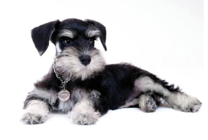 功夫瑜伽诺敏比基尼(瑜伽女神家中练瑜伽) - 天华易学