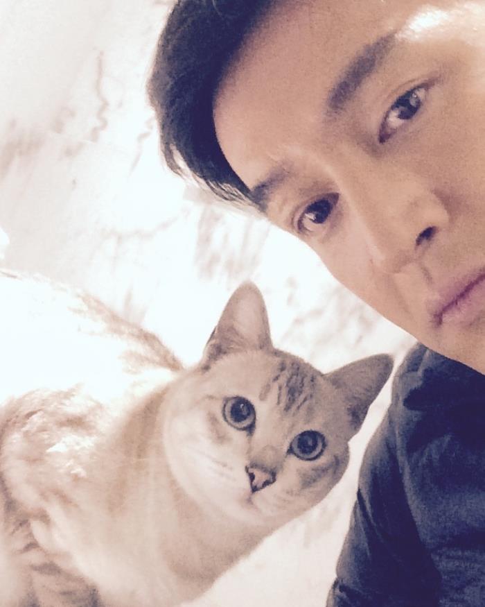 胡歌家的猫,难道胡歌也中了养猫的人容易单身的定律 - 天华易学
