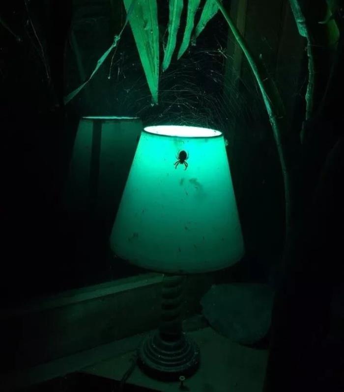 看似正常细思极恐图片(却又细思极恐的照片) - 天华易学