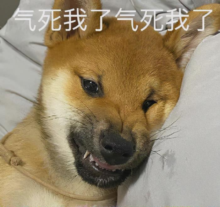 教官我再也不敢了(表情包|我再也不敢了) - 天华易学