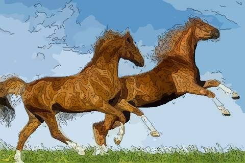 78马女2021年运势完整版,2021年属马运势女